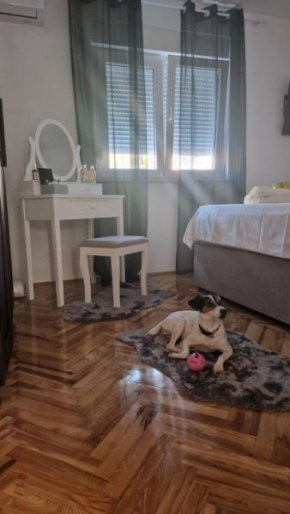 Apartment with e-cars station